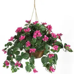 24" Pink Bougainvillea Hanging Basket