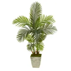 4.5ft. Areca Palm Tree in Country White Planter