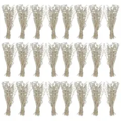 Hello Honey&reg; 19" Dried Natural Lion's Tail Bunches, 24ct.