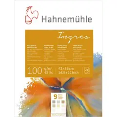 Hahnem&uuml;hle Ingres 9 Color Pastel Paper Pad, 16.5" x 22"