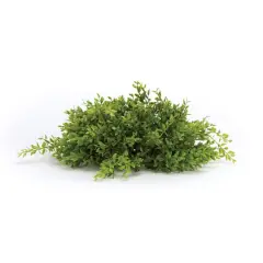 14" Mini Leaf Half Orb Set