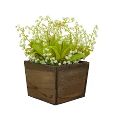 10" Lily-Of-The-Valley Flowers In Wood Box Green