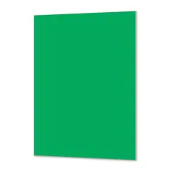 Royal Brites&reg; 20" x 30" Foam Board Green