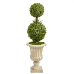 4ft. Double Boxwood Topiary Tree in Sand Finished Urn