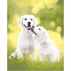 White Lab Paint-by-Number Kit by Artist's Loft&reg;
