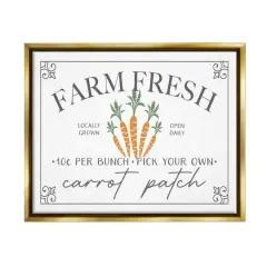 Stupell Industries Farm Fresh Carrot Patch Seasonal Springtime Vegetables Floater Framed Art Gold