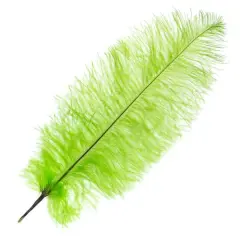 John Bead 11"-13" Ostrich Drab Feather Lime Green