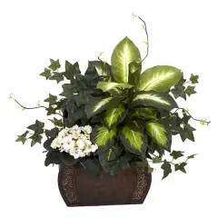 20" African Violet, Dumb Cane & Ivy in Decorative Chest