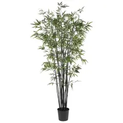 6.5ft. Potted Black Bamboo Silk Tree 