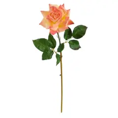 Orange Rose Stem, 6ct.