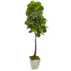 5.6ft. Real Touch&trade; Fiddle Leaf Tree in Country White Planter