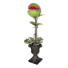 46" Venus Flytrap in Black Urn by Ashland&reg;