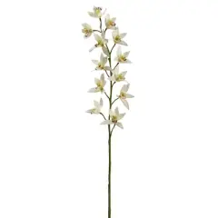 Tropical Cymbidium Stem by Ashland&reg; Cream