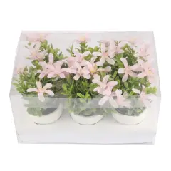 Mini Premade Boxwood Blooms in Terra Cotta Pots, 6ct. by Ashland&reg; Pink