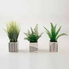 TF Publishing 7" Ferns and Grass in Chevron Pot, 3ct.