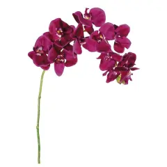 Violet Phalaenopsis Orchid Spray