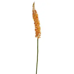 Orange Fox Tail Flower Stems, 3ct.