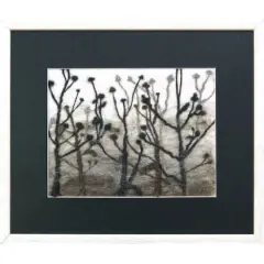 $product['description']['title']}