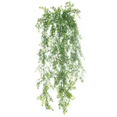 Green Boxwood Bush by Ashland&reg;