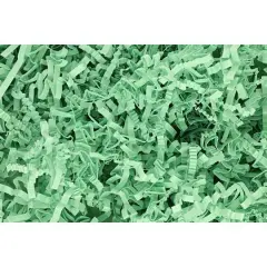 Essentials by Leisure Arts Crinkle Shred Box, 10lb. Light Green