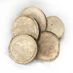 Wilson&reg; Enterprises Small Basswood Ornament Seconds, 50ct.