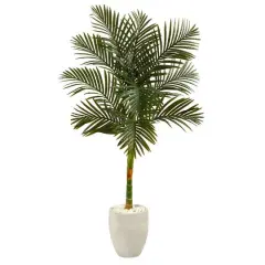 5ft. Golden Cane Palm Tree in White Planter