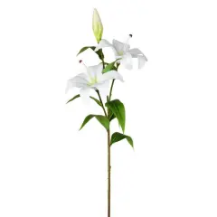 White Lily Spray