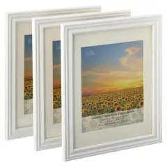3 Pack Lifestyles 8" x 10" White Frames With Mat by Studio D&eacute;cor&reg;