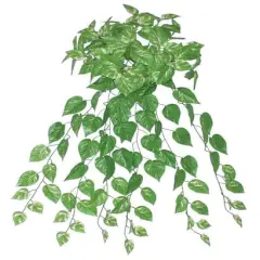 35" Green Artificial Spring Pothos Plant Bush