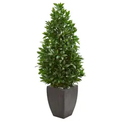 4.6ft. UV Resistant Bay Leaf Cone Topiary Artificial Tree in Black Planter 