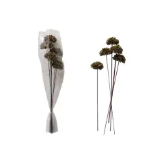 Hello Honey&reg; 23.5" Dried Natural Sesame Flower Stems, 5ct. Green