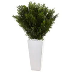 2.5ft. Cedar Plant in White Tower Planter