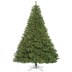 6.5ft. Pre-Lit Oregon Fir Artificial Christmas Tree, Clear Dura-Lit&reg; Lights