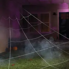 23ft. x 19ft. Mega Yard Spider Web by Ashland&reg;