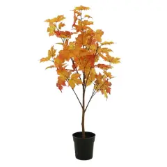 4ft. Orange Maple Tree by Ashland&reg;