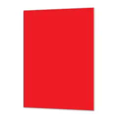 Royal Brites&reg; 20" x 30" Foam Board Red