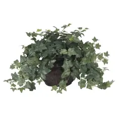 18" Potted Puff Ivy