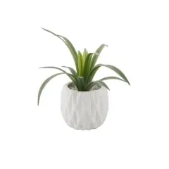 Flora Bunda&reg; 13.5" Green Sedge in Ridge Ceramic Planter