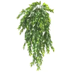 Hanging Ruscus Bush by Ashland&reg;