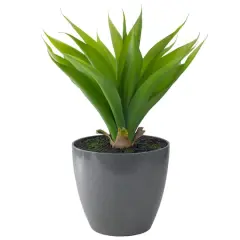 22" Potted Green Agave Plant
