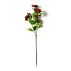 Burgundy Ranunculus Spray by Ashland&reg;