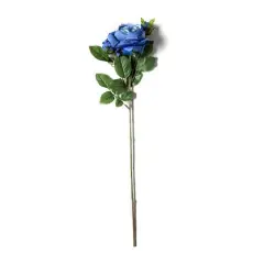Blue English Rose Stem by Ashland&reg;