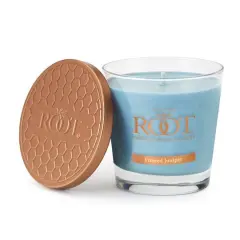 Root Candles 6.3oz. Small Scented Honeycomb Veriglass Jar Candle Frosted Juniper