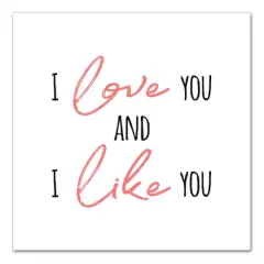 I Love You and I Like You Canvas Art