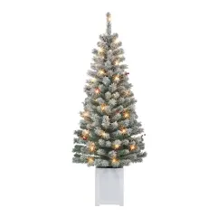 2 Pack 5ft. Pre-Lit Western Spruce Artificial Christmas Tree in Pot, Clear Incandescent Lights