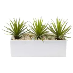 8" Mini Agaves in Rectangular Ceramic Planter