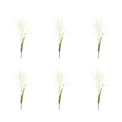 34" White Astilbe Stems, 6ct.