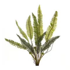 17.5" Varigated Fern Foliage Bushes, 6ct.