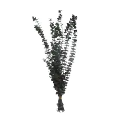 Dark Green Dried Eucalyptus Bundle by Ashland&reg;