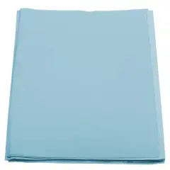 JAM Paper Tissue Paper, 480 Sheets Baby Blue